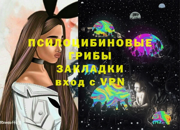 спиды Лиски
