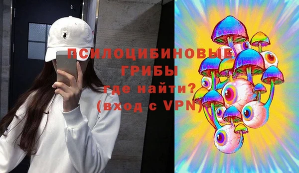 спиды Лиски