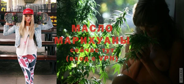 винт Лагань
