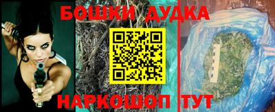 прущие крисы Будённовск