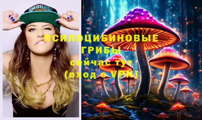 Псилоцибиновые грибы MAGIC MUSHROOMS  цены   Соликамск 