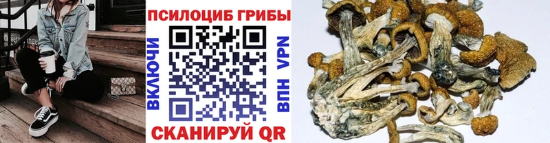 Псилоцибиновые грибы прущие грибы  наркота  Соликамск 