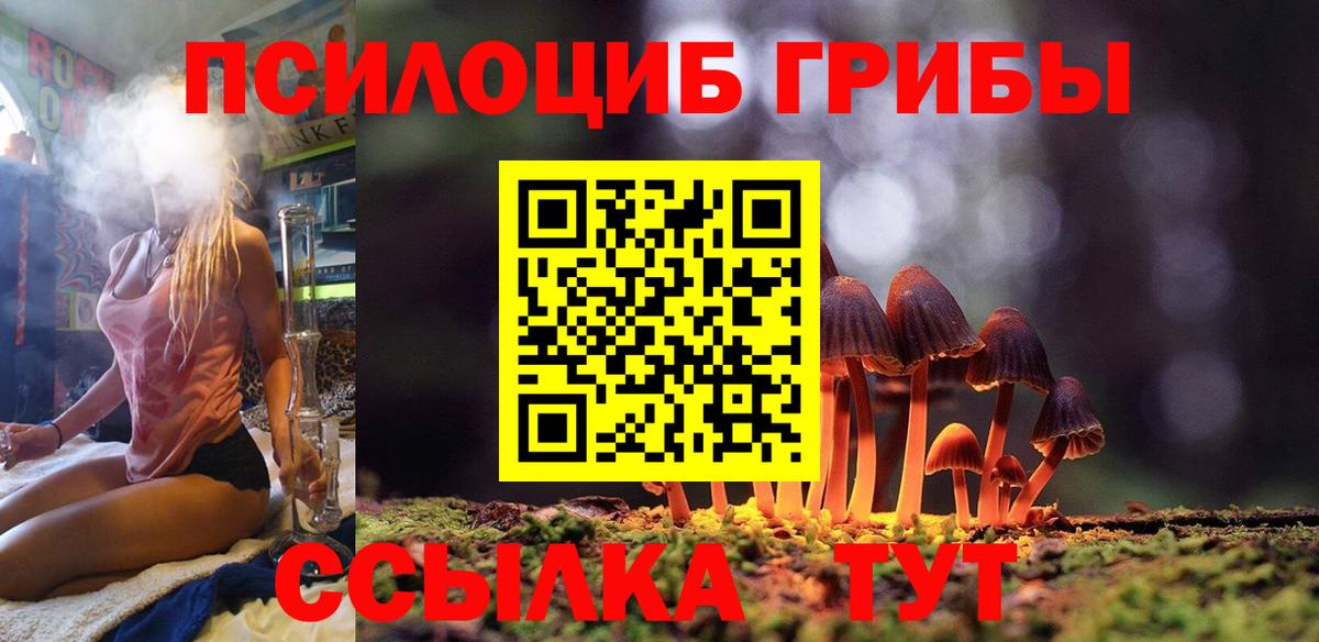 Псилоцибиновые грибы Psilocybe Соликамск
