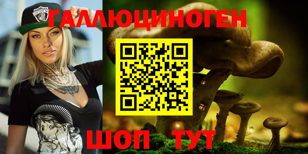 Псилоцибиновые грибы Cubensis Соликамск